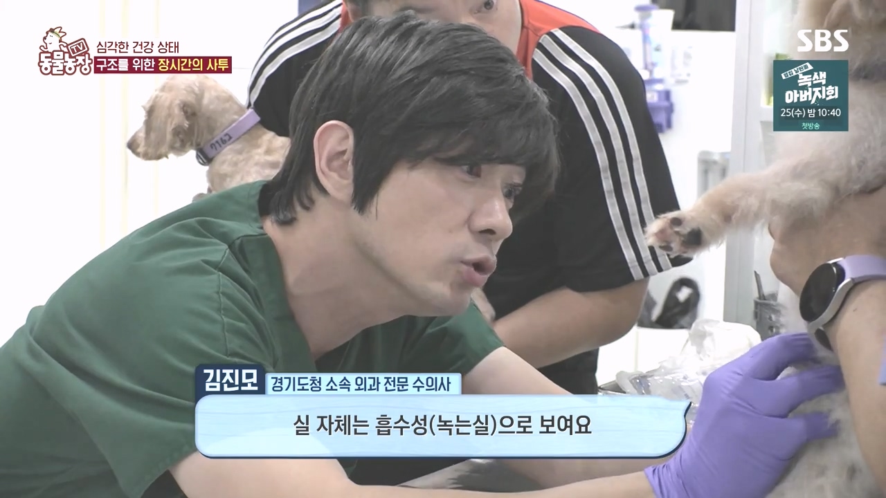 TV 동물농장.E1142.231023p-NEXT.mp4_20231022_172820.850.jpg
