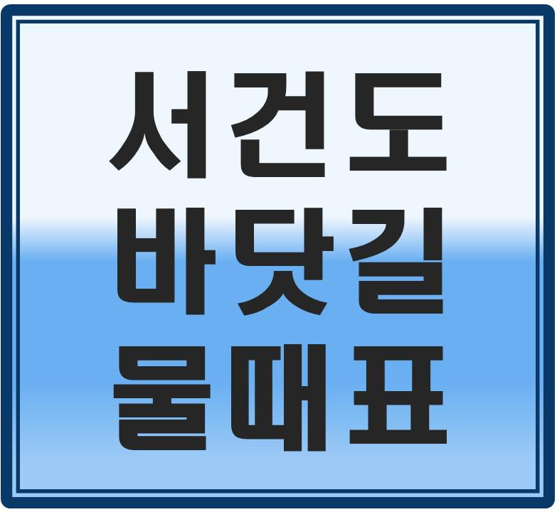  2021년 1월 서건도 (바닷길)물때표