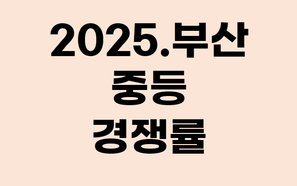 2025년 부산 중등 임용시험 경쟁률