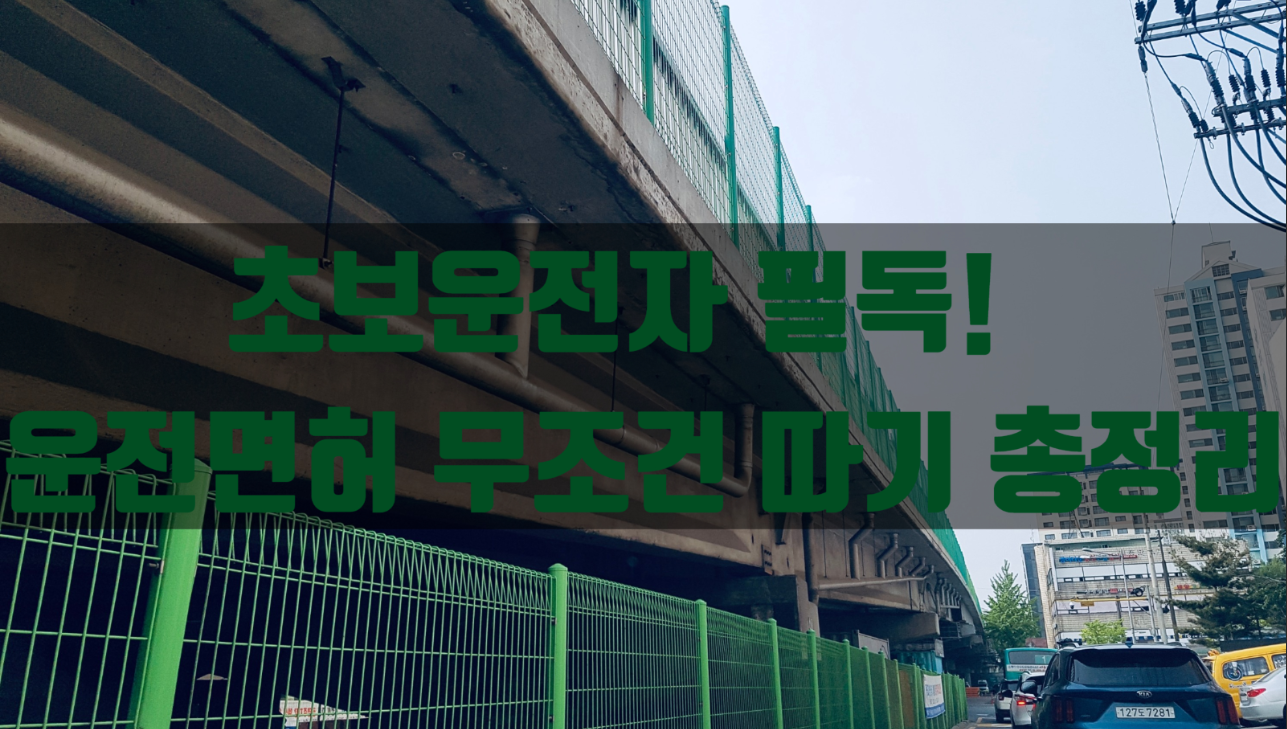  초보운전자 필독! 1종부터 2종까지 운전면허 무조건 따기 총정리/ 운전면허 쉽게 따는법/ 운전면허꿀팁/초보운전자 꿀팁