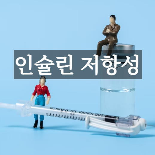 인슐린 저항성 이란&#44; 원인&#44; 확인 방법&#44; 치료 방법