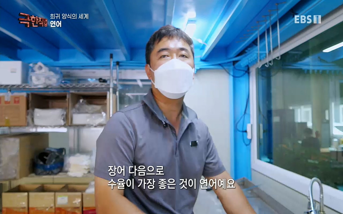 TV - 교육의 중심 EBS희귀 양식의 세계 - 참다랑어, 연어, 쏘가리.mp4_20220829_200234.368.jpg