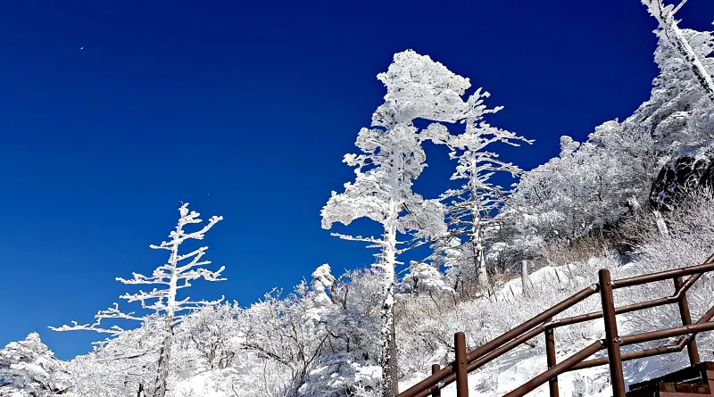 지리산 설경 상고대