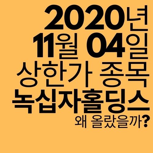  [상한가 종목] 녹십자홀딩스 (코로나 백신으로 인한 영업이익 기대감?)