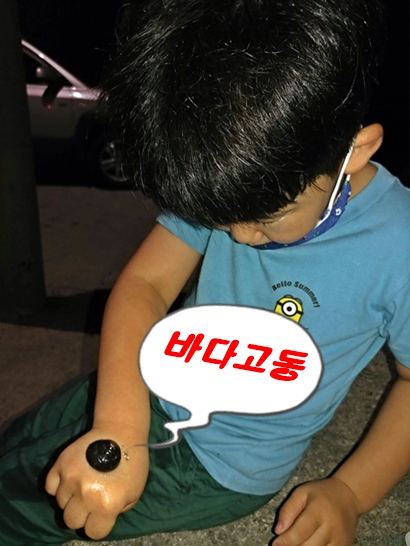  미리 걷는 여남 방파제 해안둘레길에서 바다고동을 만나다!