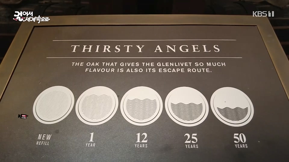 걸어서 세계속으로.E796.230617p.H264-F1RST.mp4_20230623_212630.668.jpg