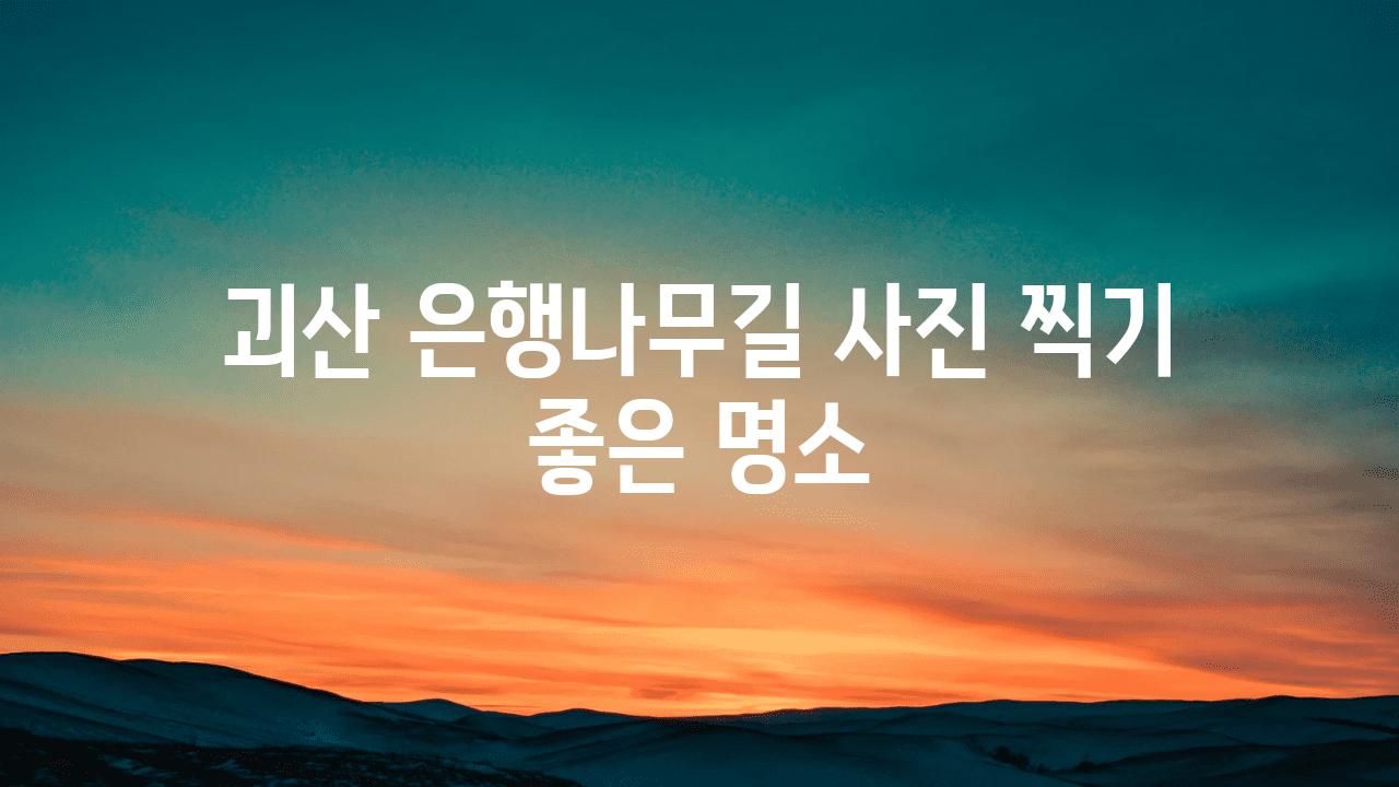 괴산 은행나무길 사진 찍기 좋은 명소