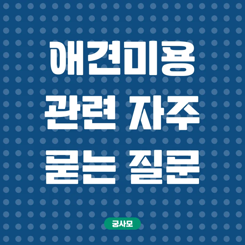 애견미용사 취업_4
