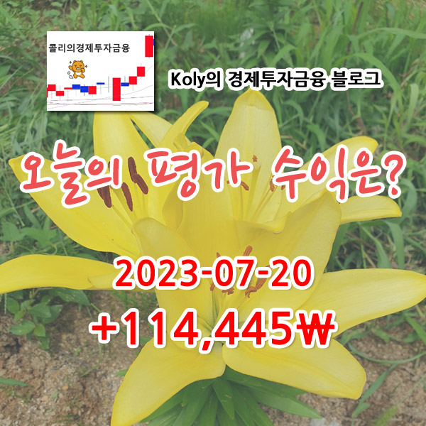 2023-07-20 콜리의 주식계좌 평가손익