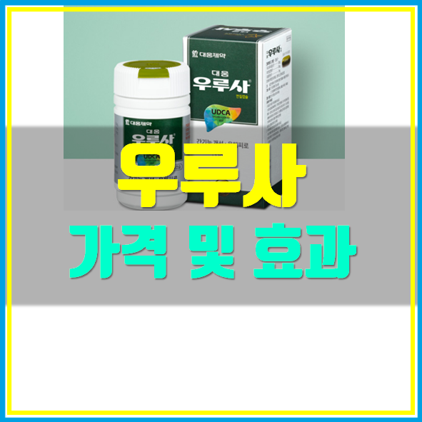 우루사 가격 효과
