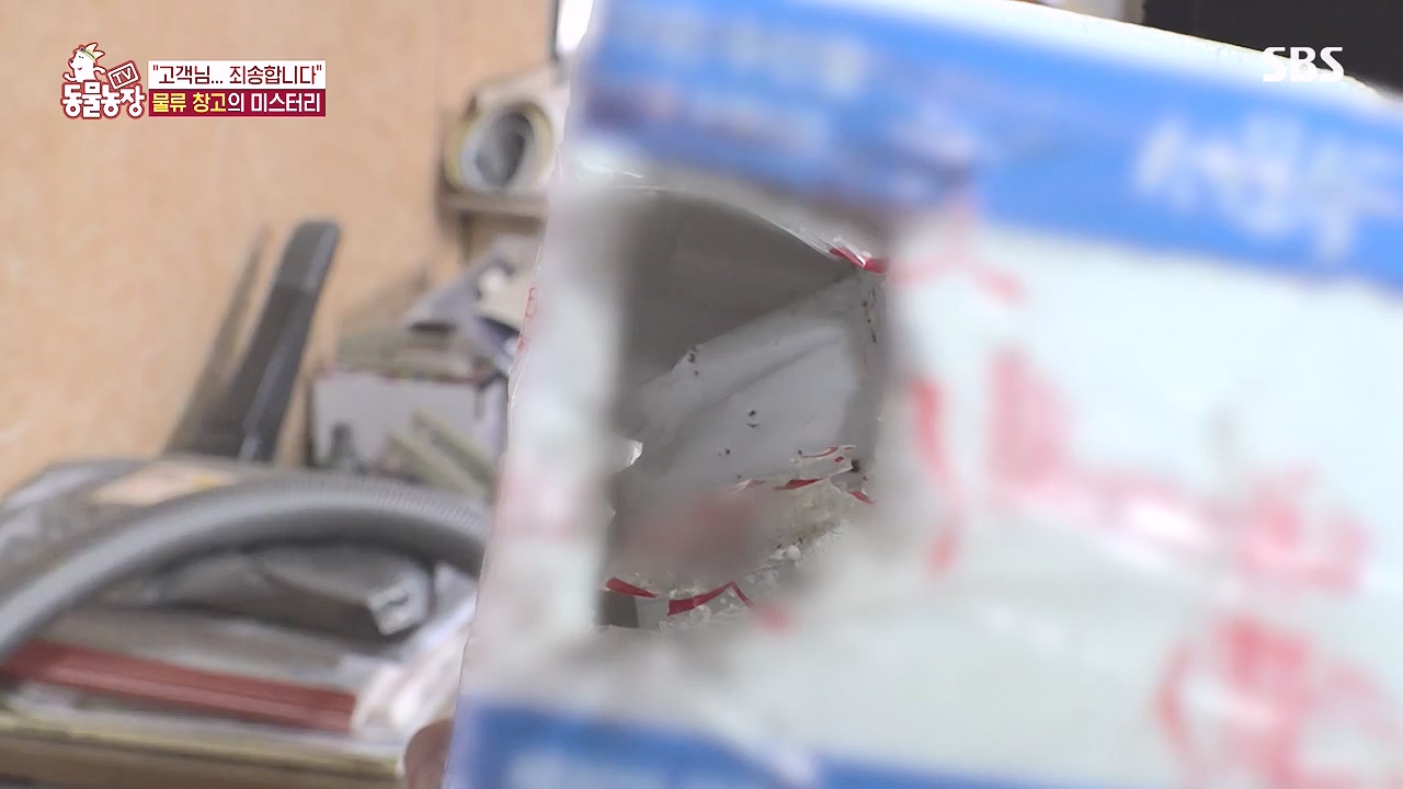 TV 동물농장.E1153.240108p-NEXT.mp4_20240107_173817.935.jpg