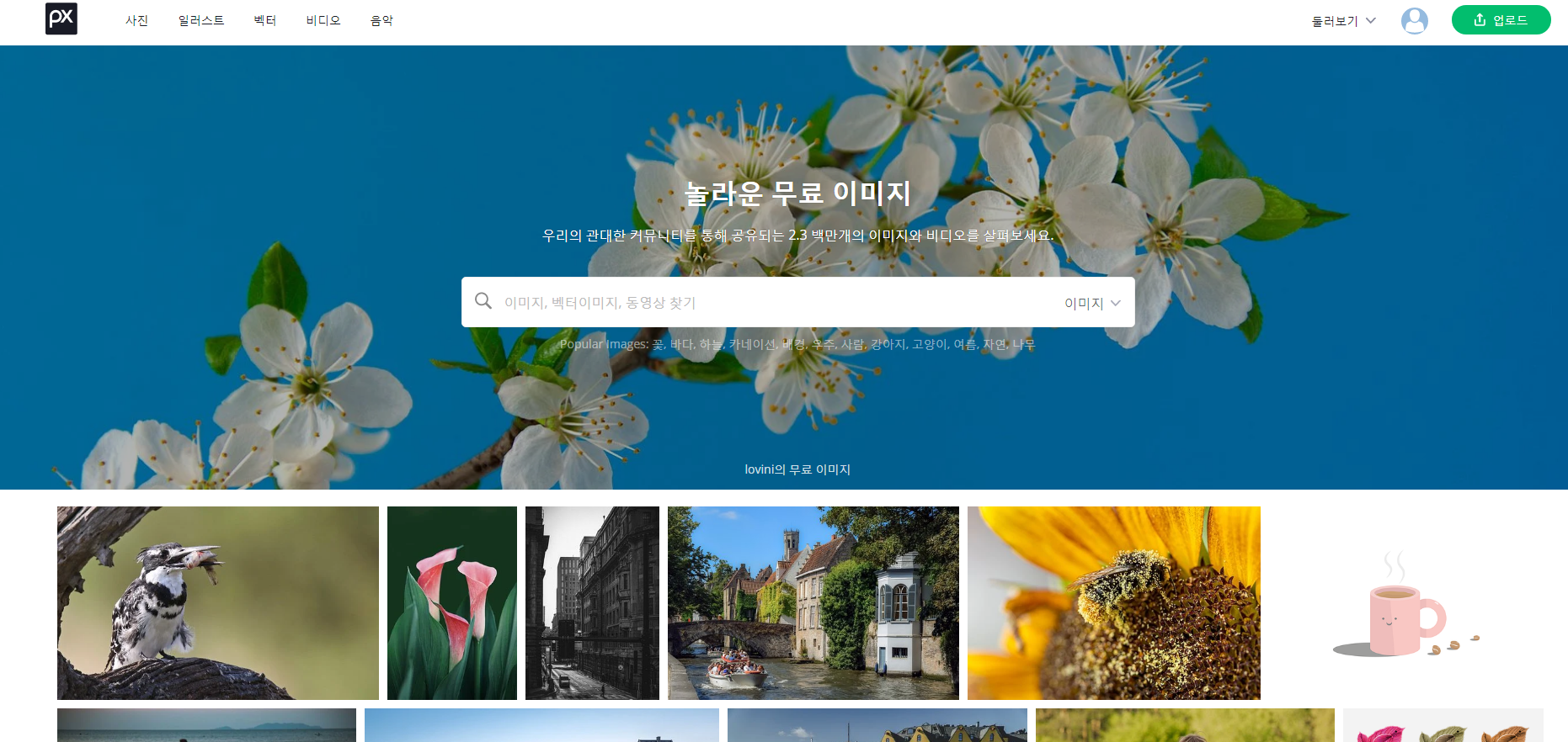  티스토리 블로그를 위한 공짜 사진 픽사베이(Pixabay) 소개