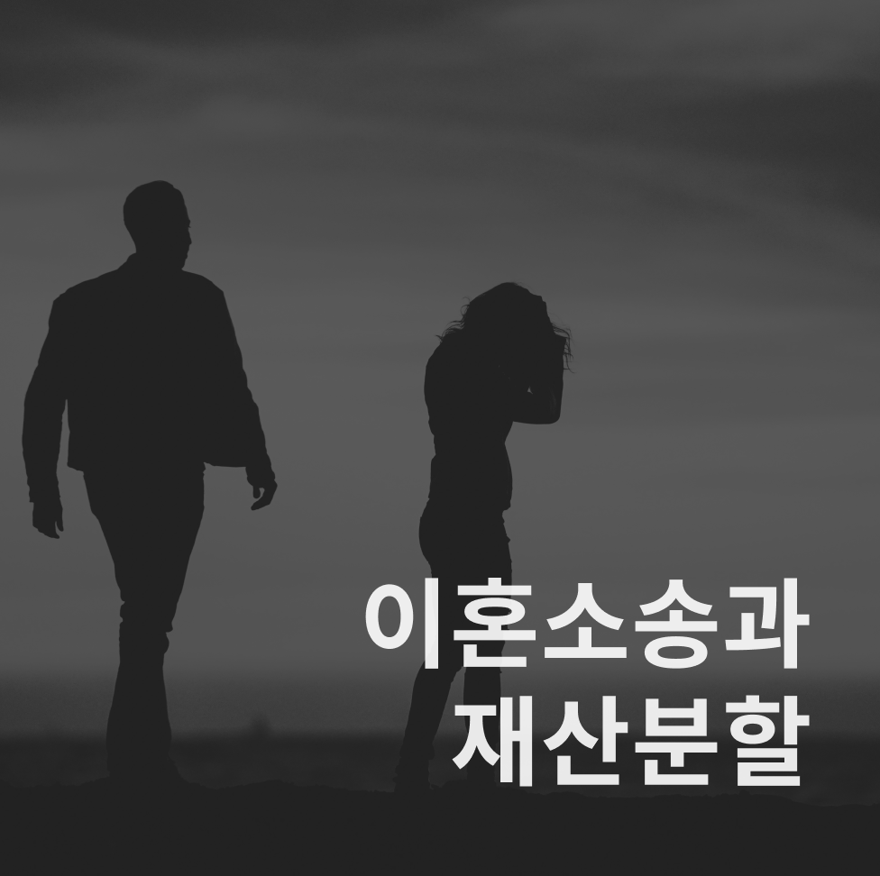 이혼소송&#44; 재산분할