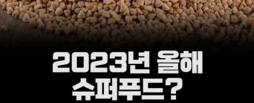 2023년 슈퍼푸드 선정 식품