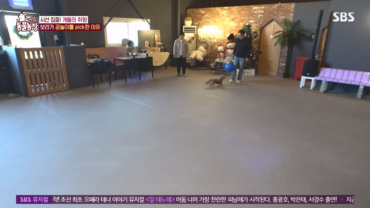 TV 동물농장.E1152.231232p-NEXT.mp4_20231231_172006.361.jpg
