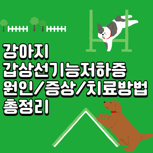 갑상선-기능-저하증-원인
갑상선-기능저하증-치료
갑상선-기능저하증-증상