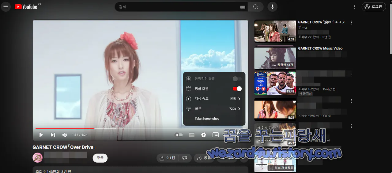 Youtube Video Screenshot Tool