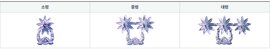 군대계급-영관급-사진