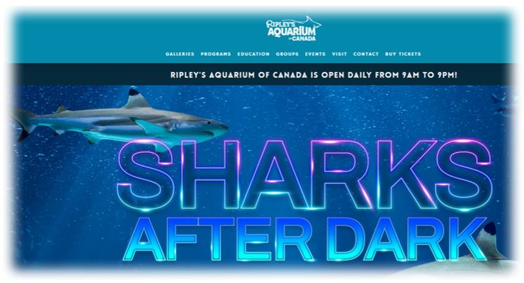 Ripley&#39;s Aquarium of Canada (리플리스 아쿠아리움 오브 캐나다&#44; 토론토 수족관) 캐나다 토론토 (Toronto) 여행 명소