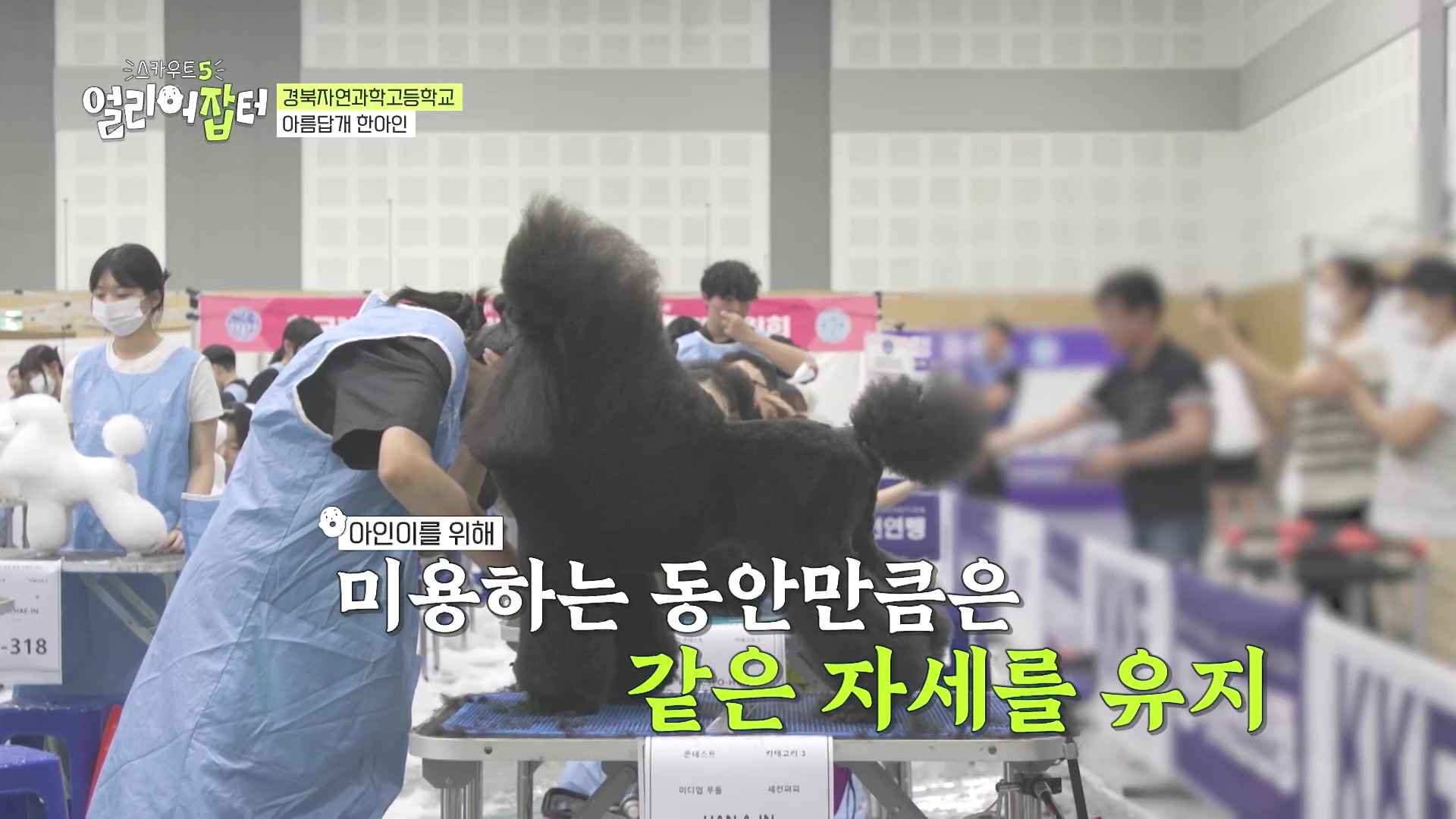 국내 대회 심사위원도 참여한 국제 대회에서 장려상 받은 고등학생 | 인스티즈