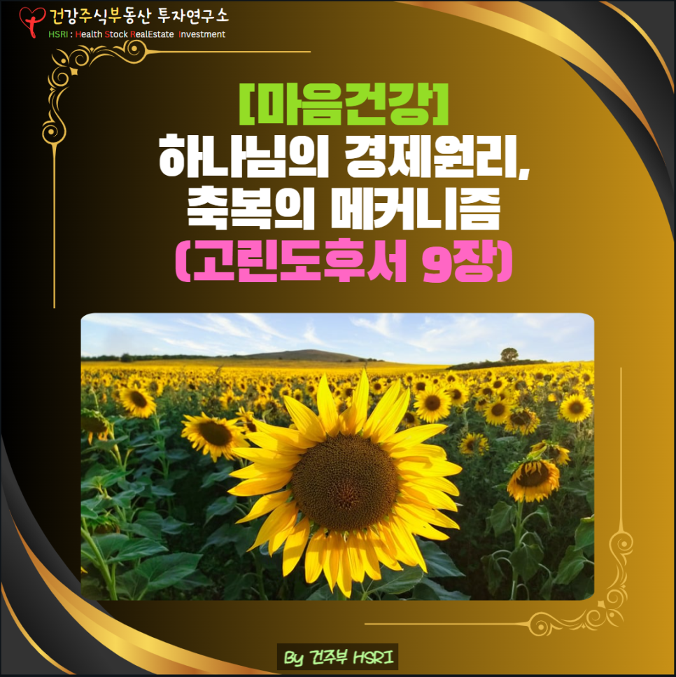 고린도후서 9장 하나님의 경제 원리, 축복의 메커니즘
(글 그림 : 건주부, 그림 출처 : Canva)