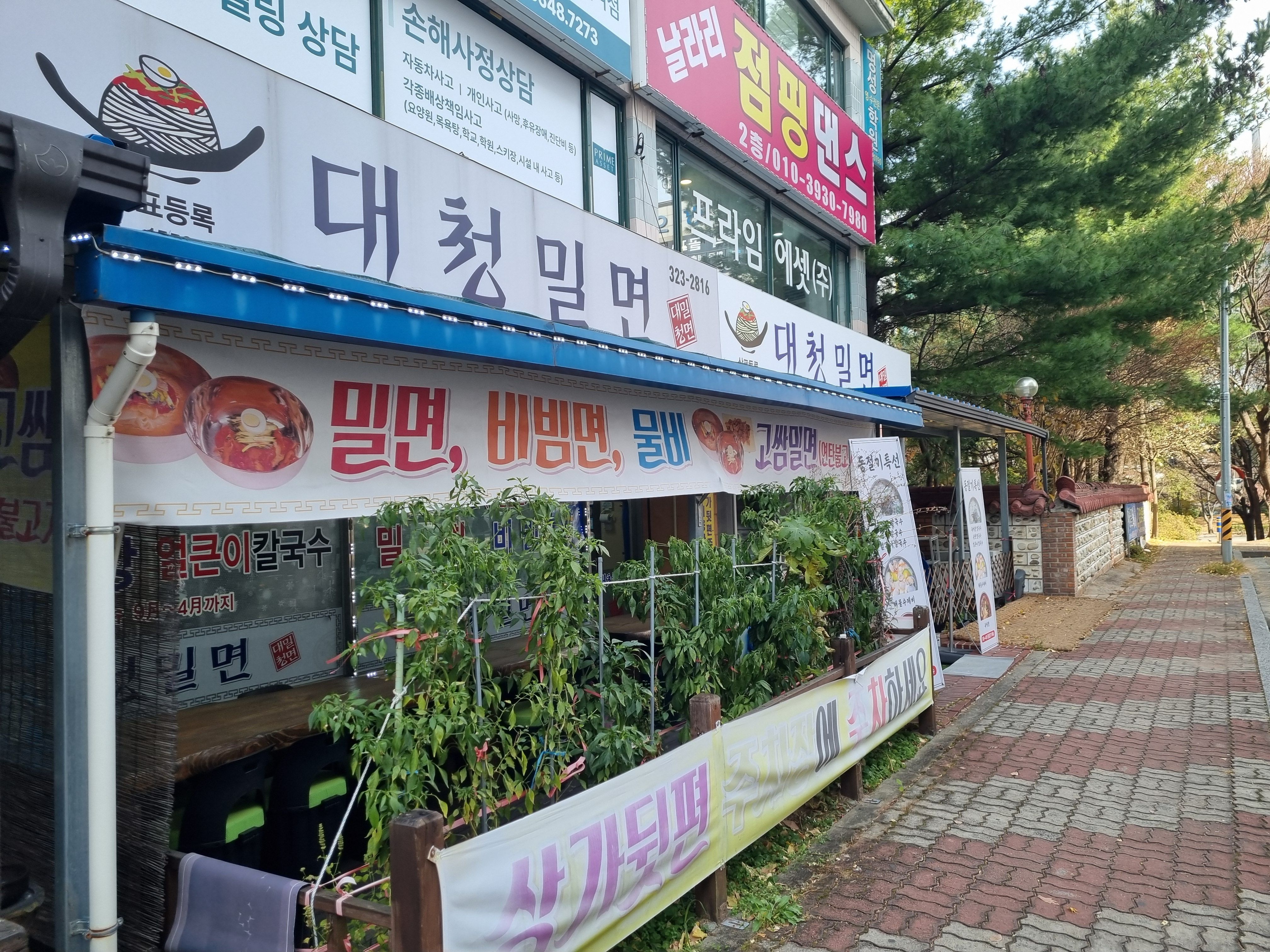 대청밀면 이미지