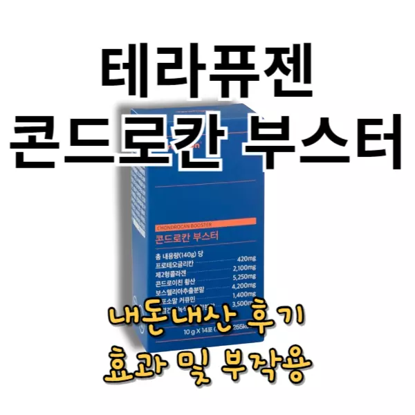 테라퓨젠 콘드로칸 부스터 내돈내산 후기 성분 및 효과 부작용