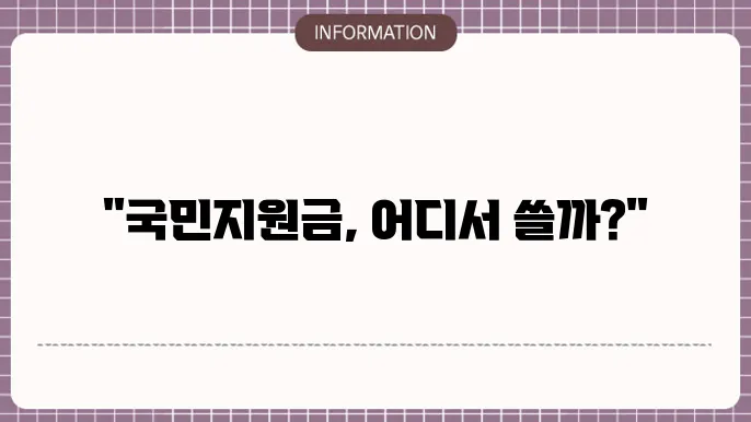 국민지원금 사용처 정보 확인