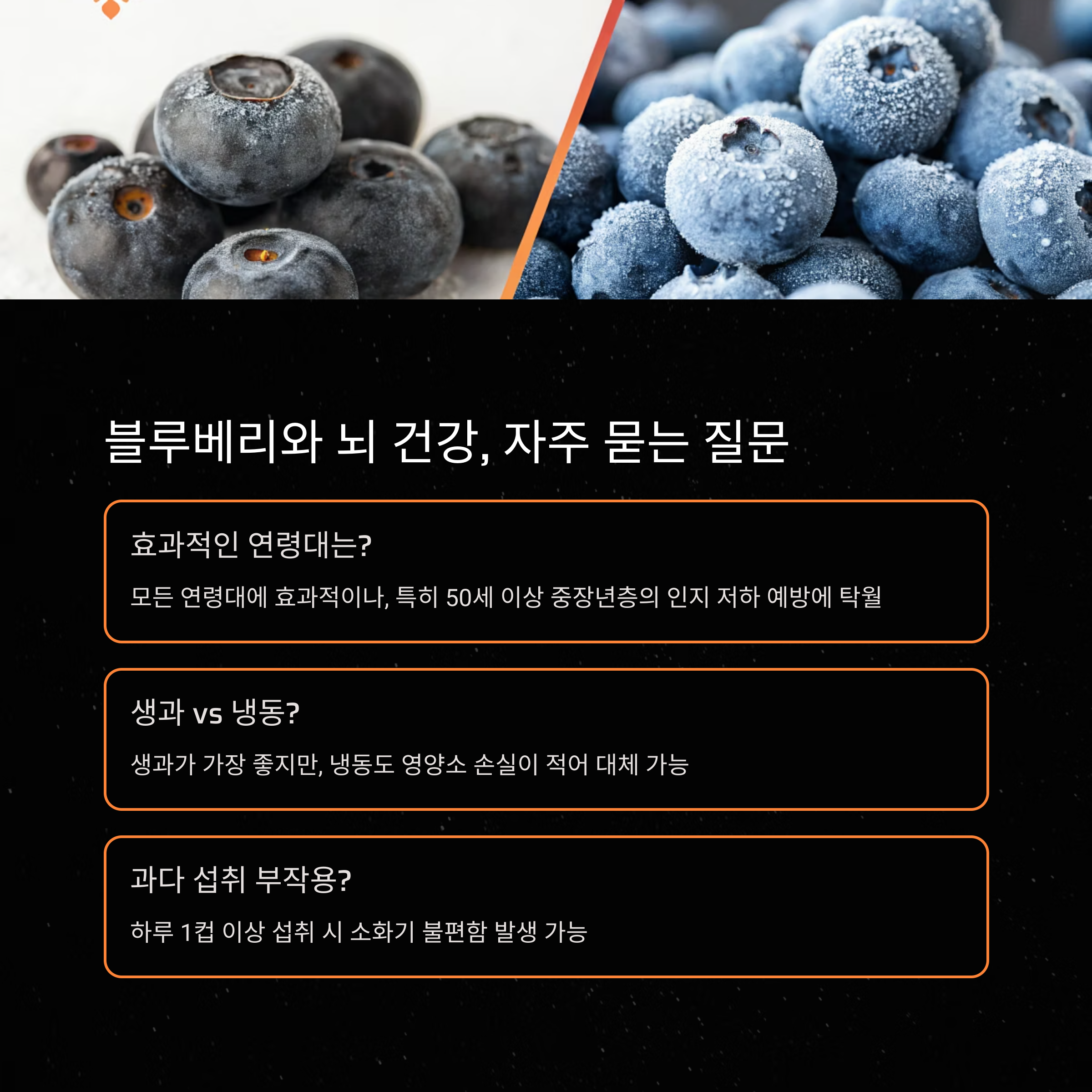 블루베리 질문