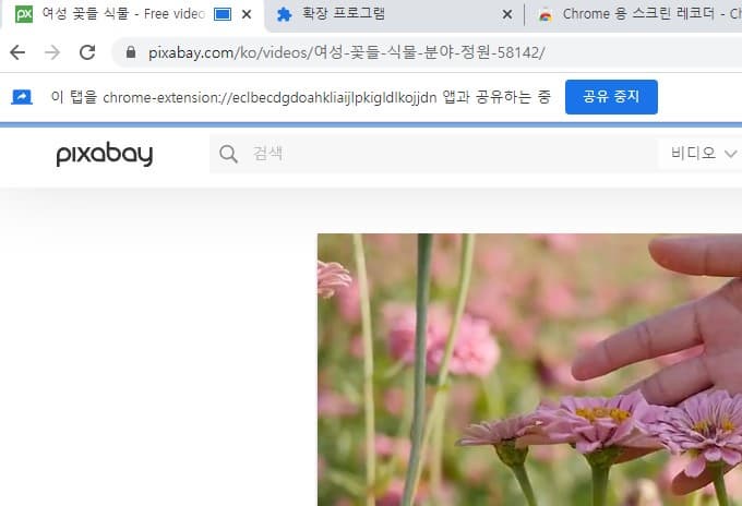 녹화 중인 탭 화면