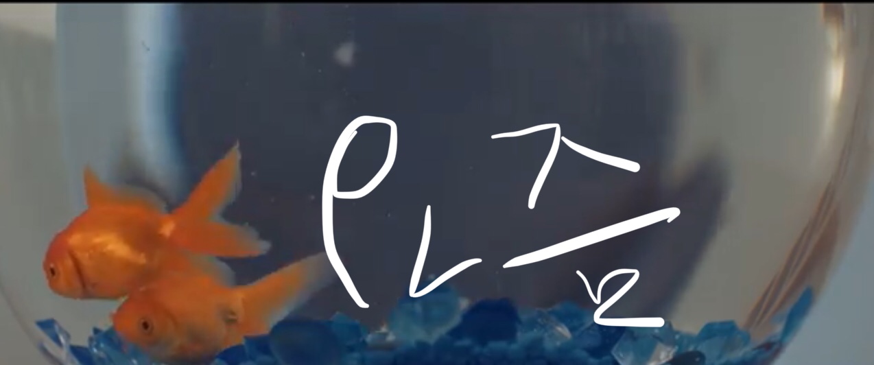  <굿밤뮤직>”우리 바다..갈까?”(feat. 달팽이)