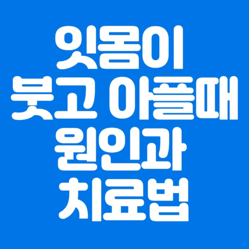 썸네일이미지