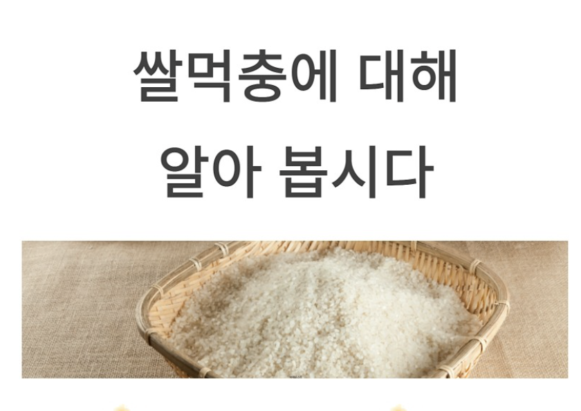  쌀먹 뜻 유래는 로아,리니지W,오딘 게임 쌀먹충