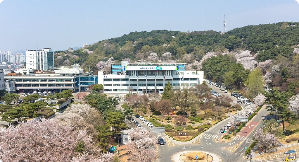 경기도청-벚꽃-축제-봄