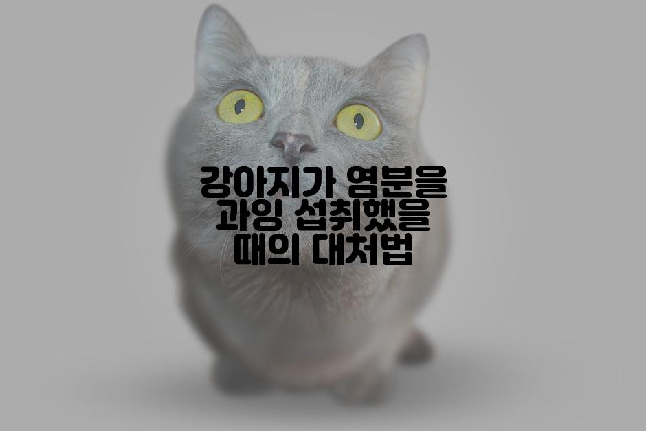 강아지가 염분을 과잉 섭취했을 때의 대처법