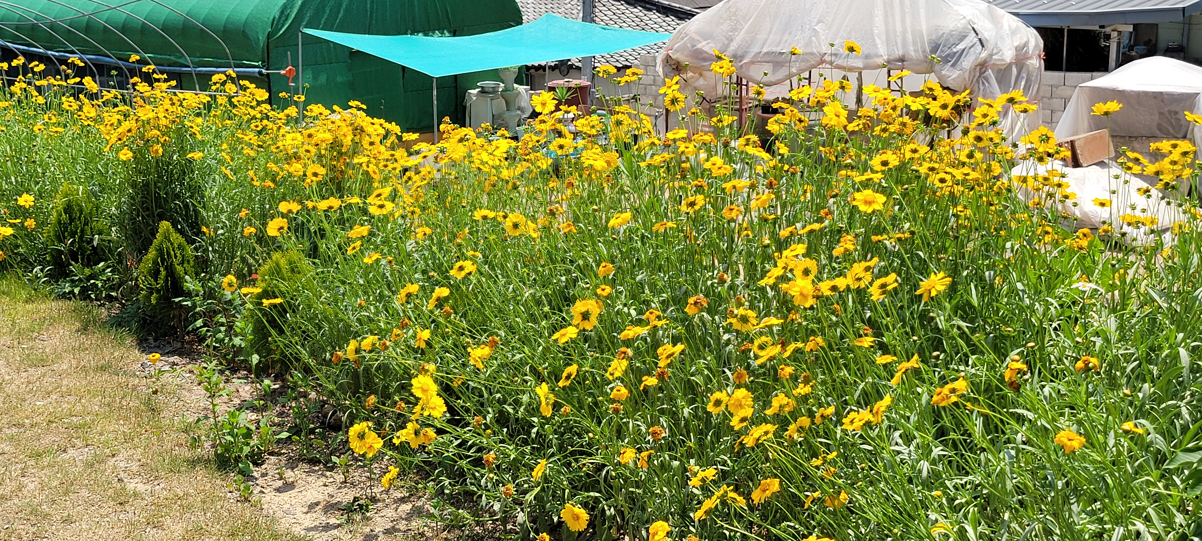 꽃별체험학교 이미지