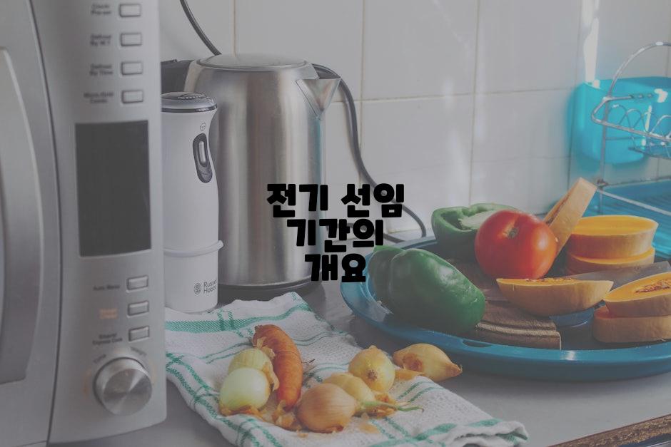전기 선임 기간의 개요