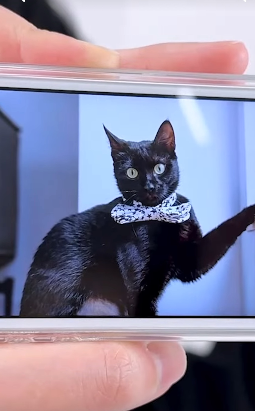 현직 돌팬이 취업한 것 같은 소속사 | 인스티즈