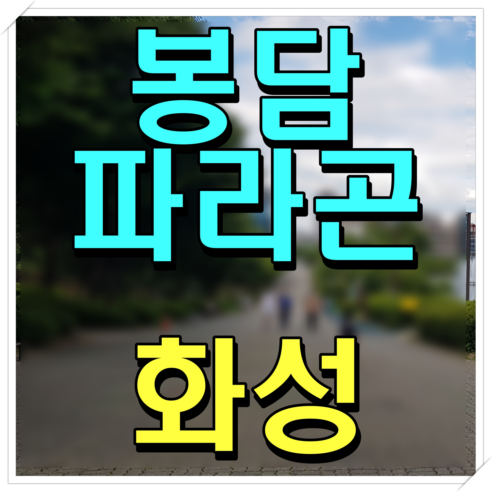  화성 봉담 파라곤 아파트 분양가 청약 정보