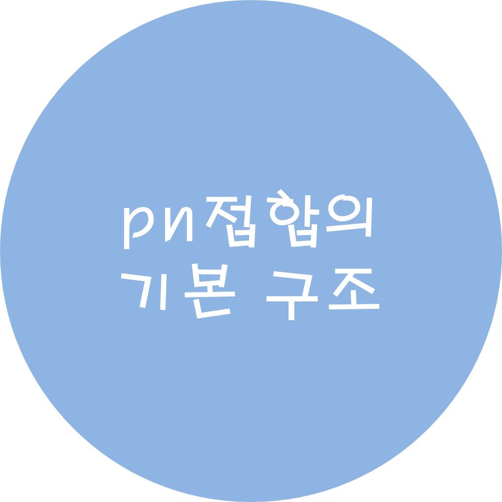  pn접합의 기본 구조
