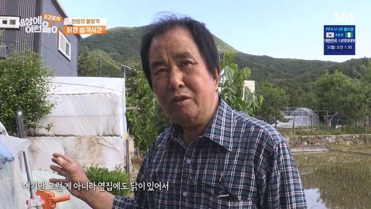 순간포착 세상에 이런일이.E1231.230604p-NEXT.mp4_20230609_202233.416.jpg