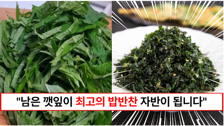“남은 깻잎은 몽땅 다 튀기세요” 밥이 계속 들어가는 김자반보다 더 맛있는 깻잎자반 만드는 방법 (+남은 기름 활용법까지) “남은 깻잎은 몽땅 다 튀기세요” 밥이 계속 들어가는 김자반보다 더 맛있는 깻잎자반 만드는 방법 (+남은 기름 활용법까지)