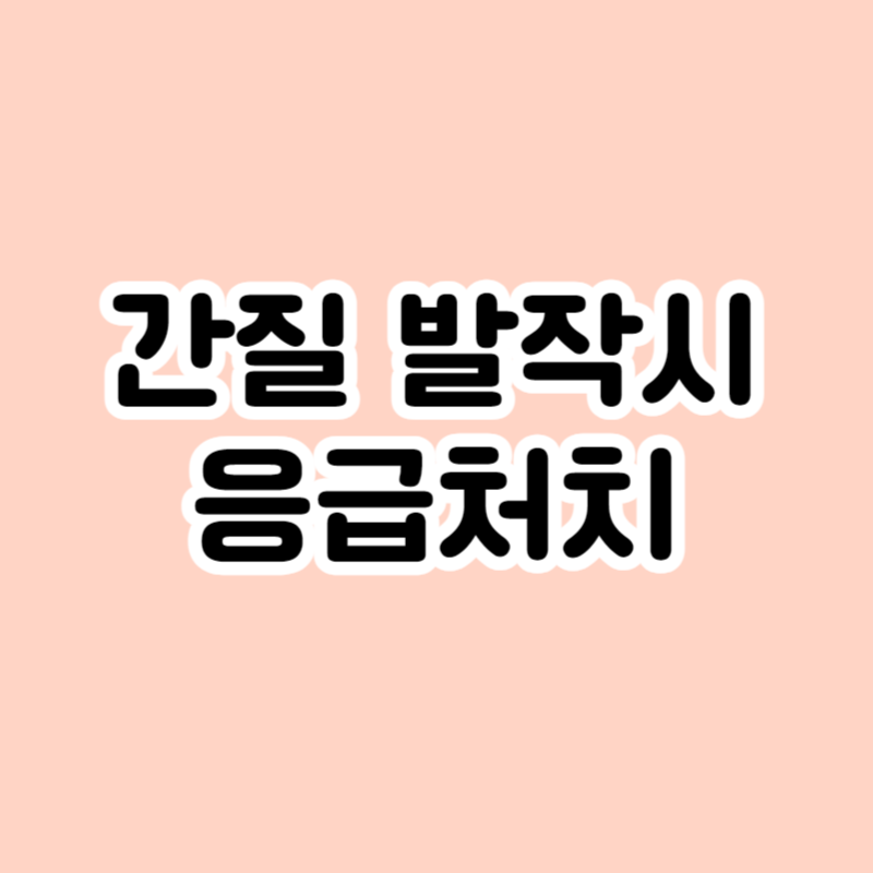 간질 발작시 응급처치