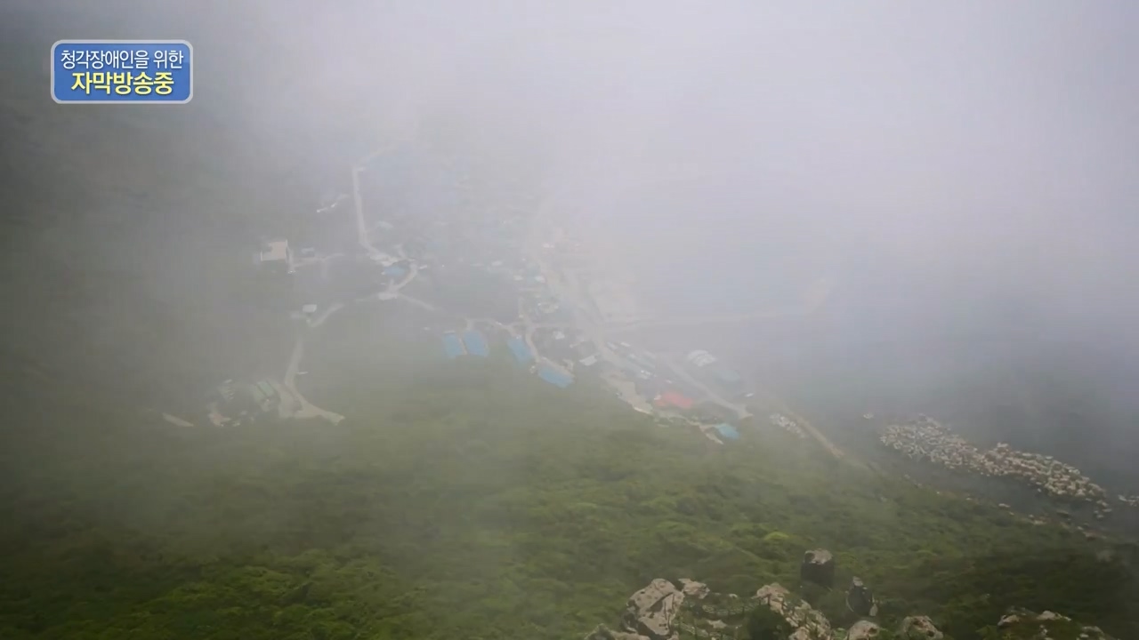 다큐 온.E209.230806p-NEXT.mp4_20230806_171244.305.jpg