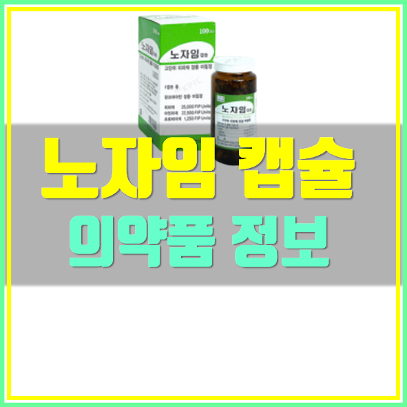  노자임 캡슐 복용법 효능