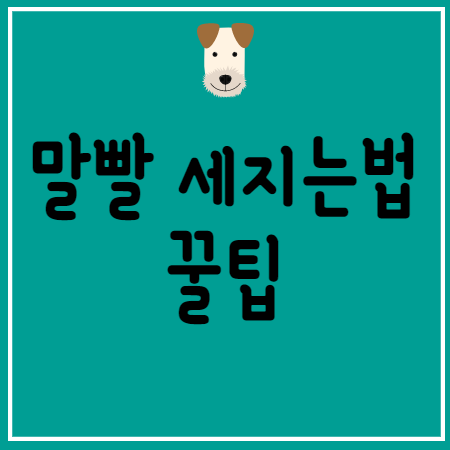 말빨 세지는법 꿀팁