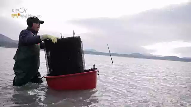 [190회] 다큐온 - KBS지역의 부활 1부 - 햇빛, 평생 연금을 주다] 지방 소멸이 가속화되고 있는 지금 한 지자체에서 실시.ts_20230328_203932.523.jpg