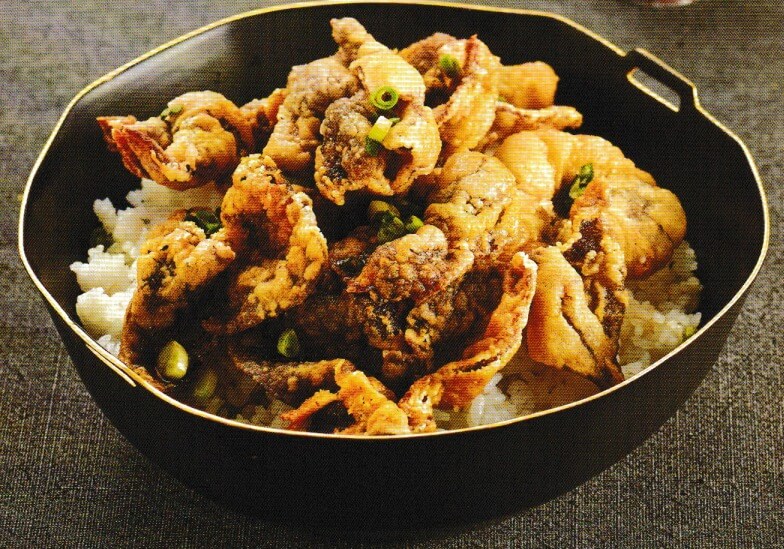 소고기튀김덮밥-사진