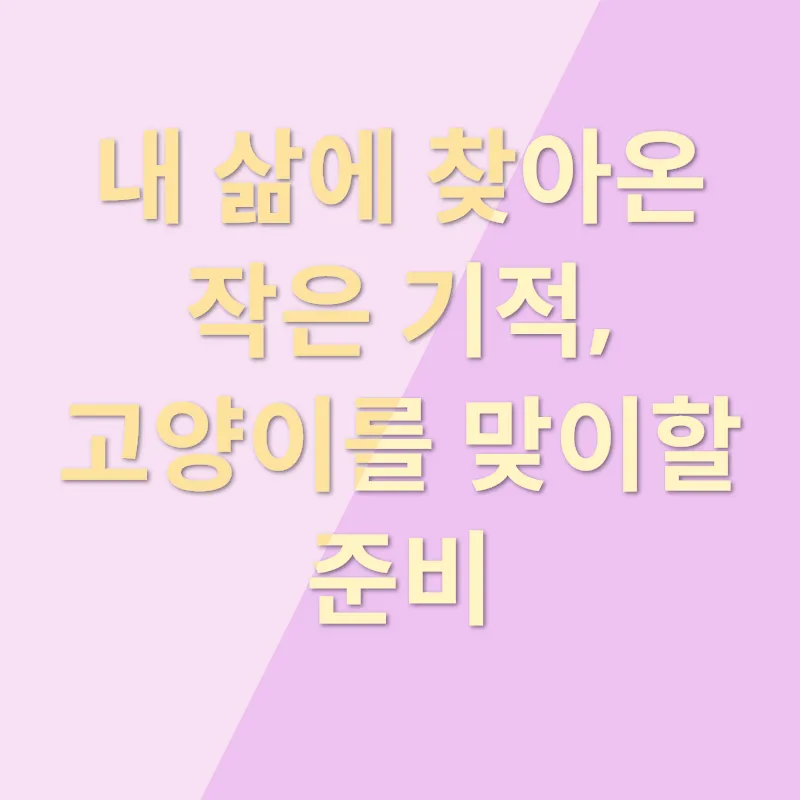 고양이와의 행복_1