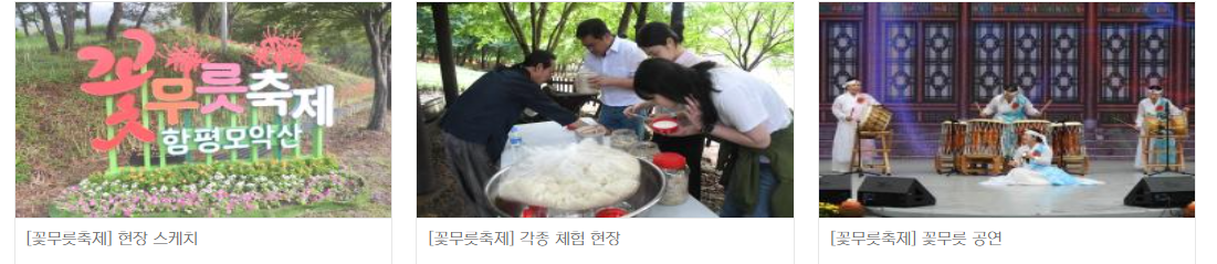 함평 모악산 꽃무릇 축제
